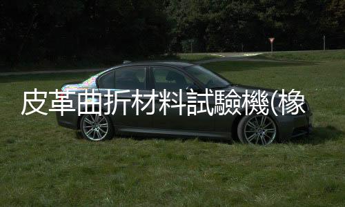 皮革曲折材料試驗機(橡膠高低溫拉伸力學試驗機)