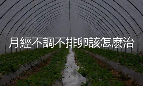 月經不調不排卵該怎麽治呢？